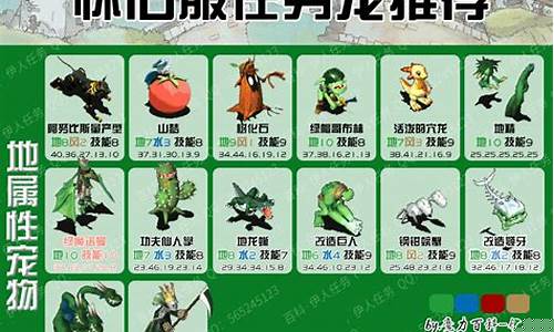魔力宝贝私服宠物搭配技巧，组建无敌战斗阵容
