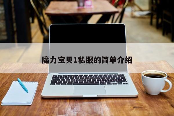 魔力宝贝1私服的简单介绍
