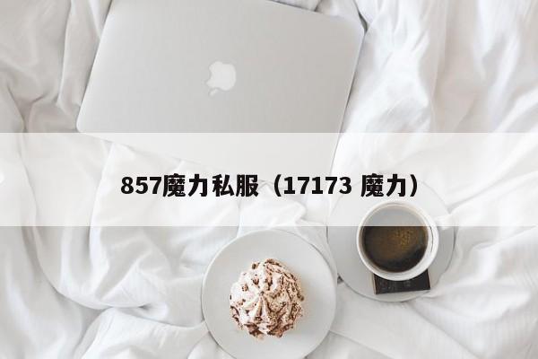 857魔力私服（17173 魔力）