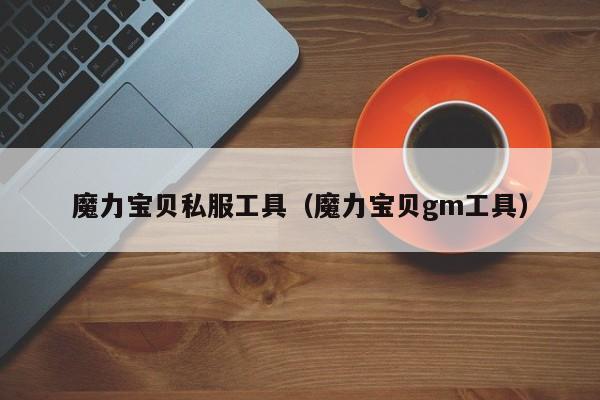 魔力宝贝私服工具（魔力宝贝gm工具）