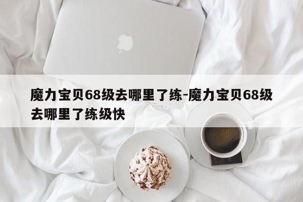 魔力宝贝68级去哪里了练-魔力宝贝68级去哪里了练级快