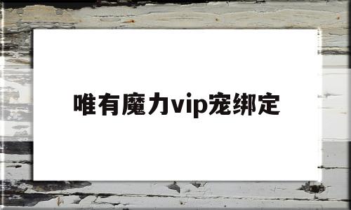 唯有魔力vip宠绑定-唯有魔力买v宠好还是装备