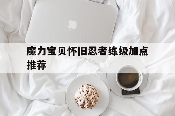 魔力宝贝怀旧忍者练级加点推荐-魔力宝贝怀旧忍者怎么加点