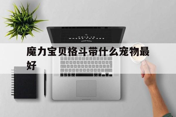 魔力宝贝格斗带什么宠物最好-魔力宝贝格斗进阶技能