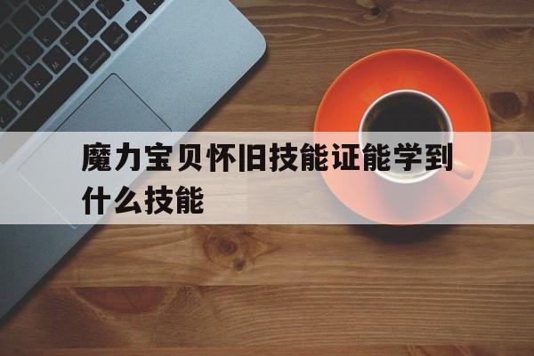 魔力宝贝怀旧技能证能学到什么技能-魔力宝贝 技能证