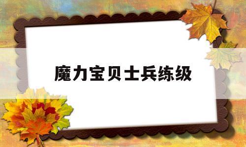 魔力宝贝士兵练级-魔力宝贝士兵就职顺序