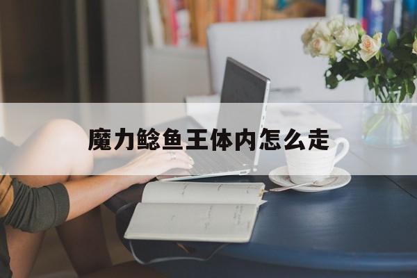 魔力鲶鱼王体内怎么走-魔力宝贝手机版鲶鱼副本图文攻略