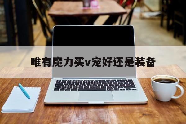 唯有魔力买v宠好还是装备的简单介绍