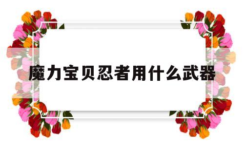 魔力宝贝忍者用什么武器-魔力宝贝怀旧忍者带什么武器