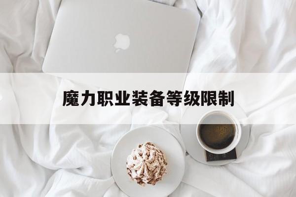 魔力职业装备等级限制-魔力职业装备等级限制多少