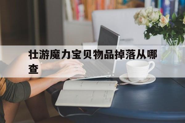 壮游魔力宝贝物品掉落从哪查的简单介绍
