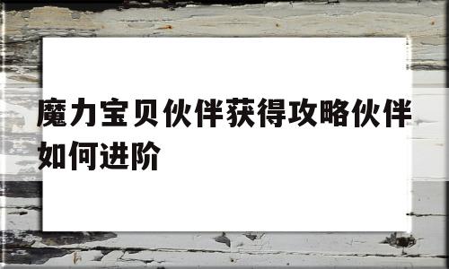 魔力宝贝伙伴获得攻略伙伴如何进阶的简单介绍