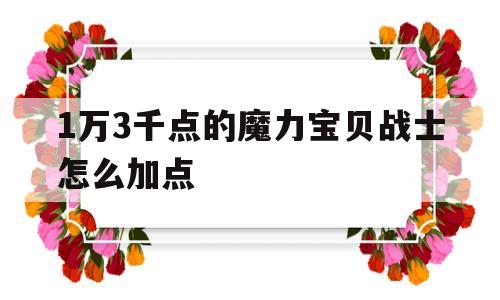 关于1万3千点的魔力宝贝战士怎么加点的信息