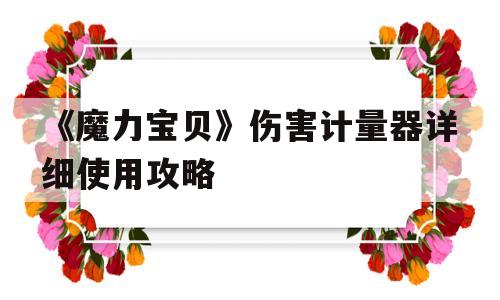 关于《魔力宝贝》伤害计量器详细使用攻略的信息
