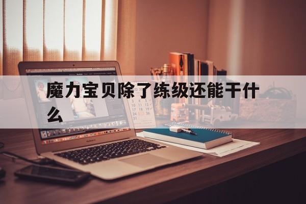 关于魔力宝贝除了练级还能干什么的信息